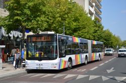 Stadtbus der Irigo Angers MAN Lions City Bus