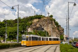 Straßenbahn Budapest Tram Ganz KCSV7 mit Gellertberg (Gellért-hegy) und Freiheitsstatue (Szabadság-szobor)