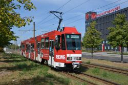 Straßenbahn Cottbus Tram CKD Tatra KT4D KTNF6 auf Rasengleis an der Görlitzer Straße