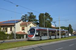 Straßenbahn Florenz Firenze Tram AnsaldoBreda Sirio Hitachi auf Rasengleis mit Reihenhäusern vor der Station Nenni Torregalli