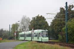 Straßenbahn Frankfurt an der Oder Tram AEG ADtranz GT6M mit alten Häusern an der Gartenstraße